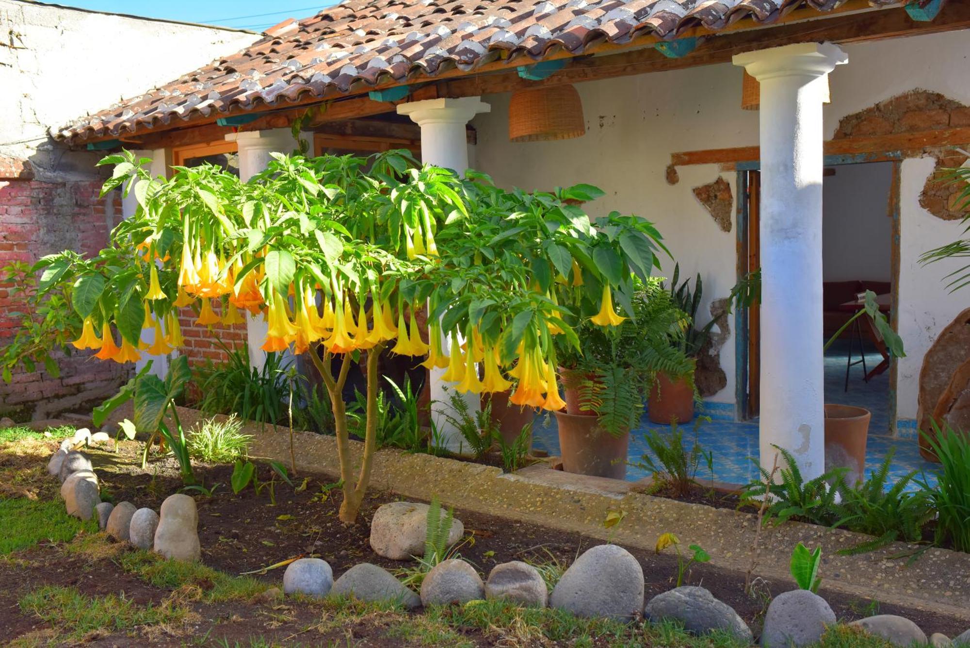 Casas Chiapas