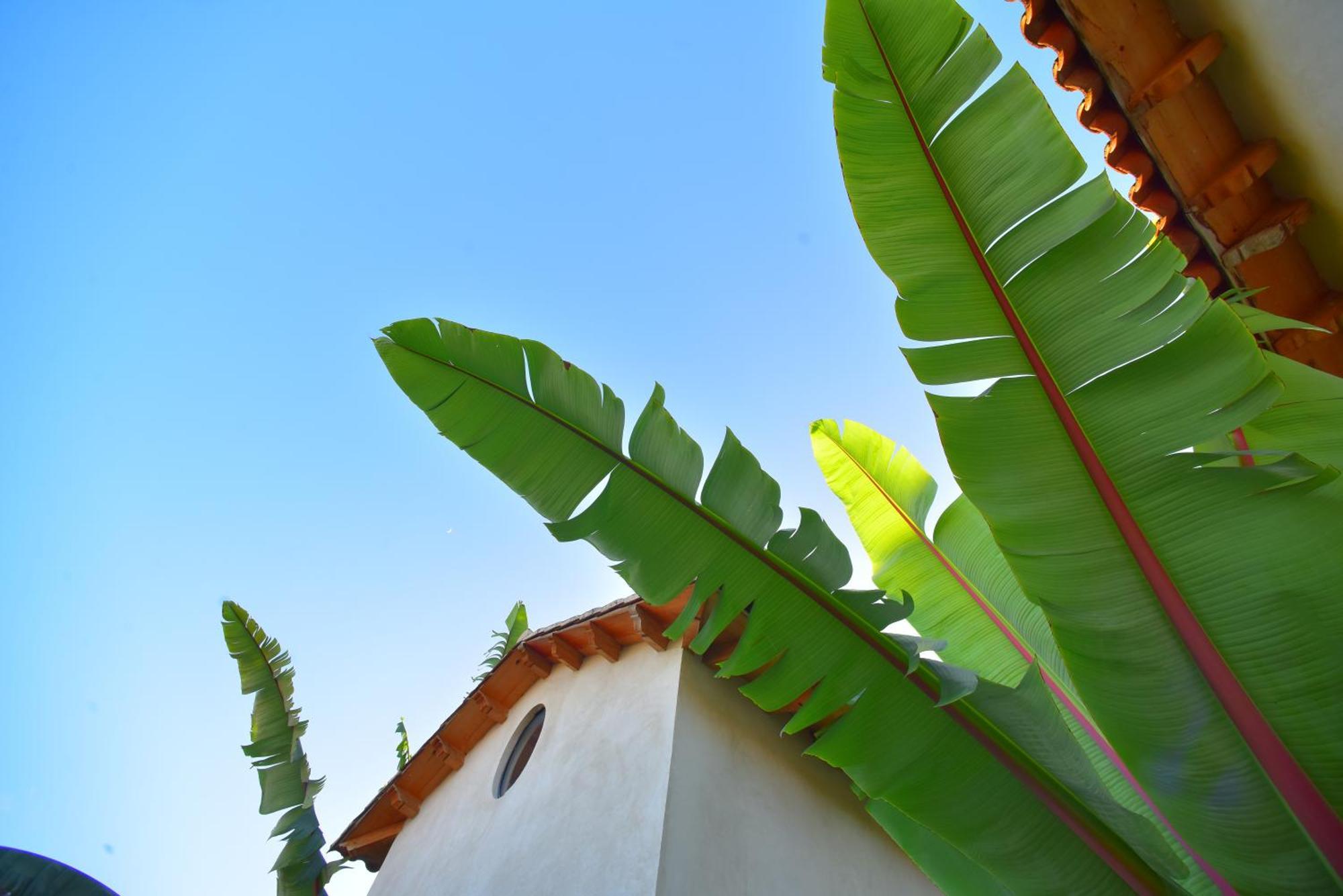 Casas Chiapas *
