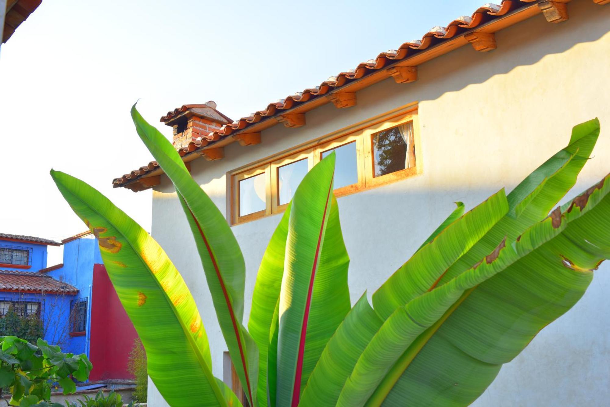 Casas Chiapas